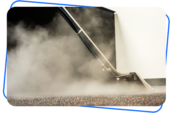 Professional Carpet Steam Cleaning